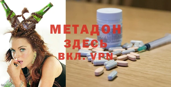 амф Дмитриев