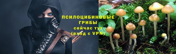 гидра Дмитровск
