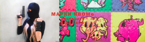 амф Дмитриев