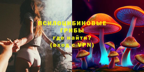 амф Дмитриев