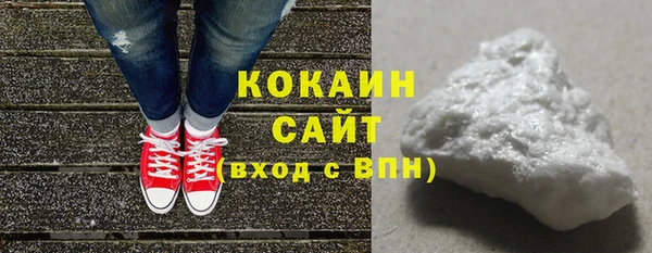 амф Дмитриев
