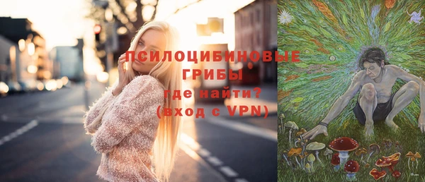 амф Дмитриев