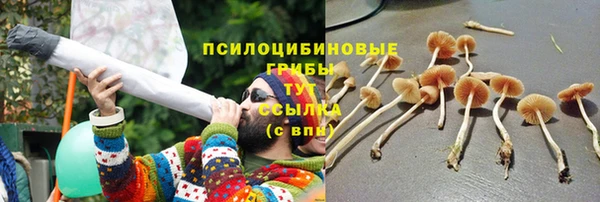 гидра Дмитровск