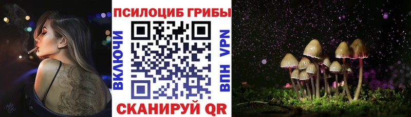 Галлюциногенные грибы Magic Shrooms  Купить закладки  Набережные Челны 